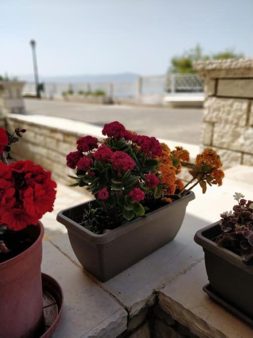 Apartment Ionian Blue Preveza