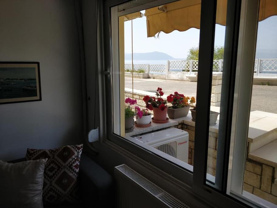 Apartment Ionian Blue